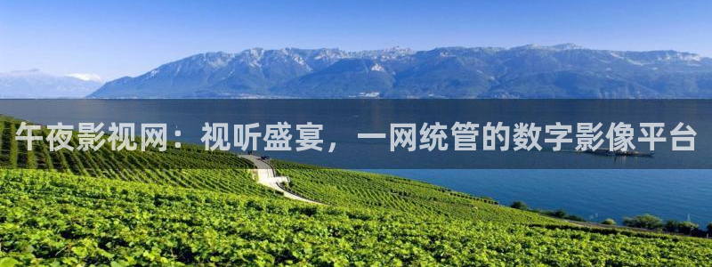 飘雪影院电影免费观看：午夜影视网：视听盛宴，一网统管的数字影像平台