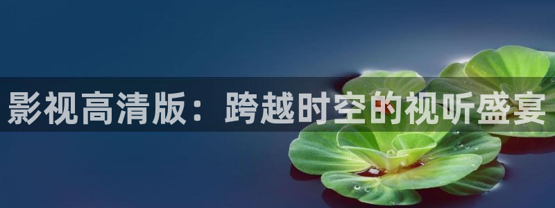 久久久久久影院久久飘雪影院：影视高清版：跨越时空的视听盛宴