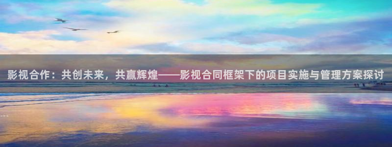 飘雪影院免费观看电视剧：影视合作：共创未来，共赢辉煌——影视合同框架下的项目实施与管理方案探讨