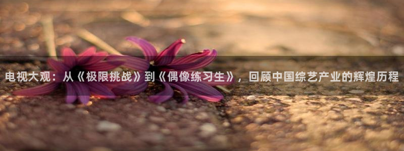 飘雪影院在线观看免费播放最新版：电视大观：从《极限挑战》到《偶像练习生》，回顾中国综艺产业的辉煌历程